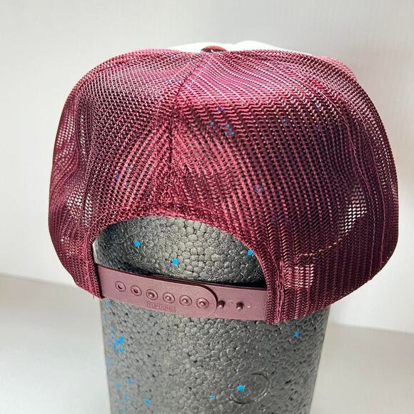 Taylor Seed Company Vintage Snap Back Trucker Hat New Deadstock - Picture 2 of 8